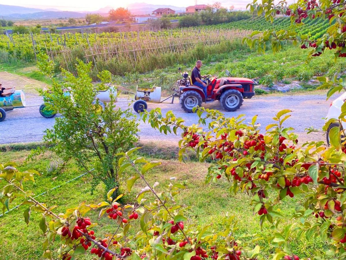 Mrizi I Zanave Agroturizem Hotell Lezhë Exteriör bild